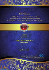 open-dog-cup-2017.jpg